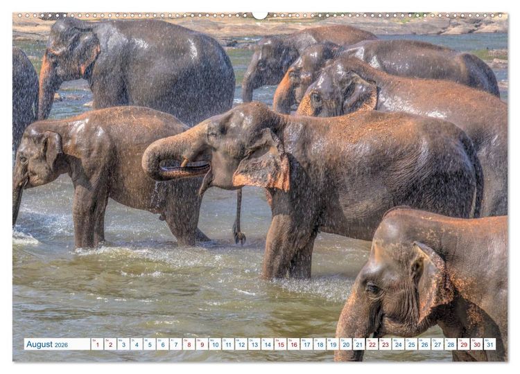 Produktbild: Sri Lanka, tropisches Inselparadies (hochwertiger Premium Wandkalender 2026 DIN A2 quer), Kunstdruck in Hochglanz