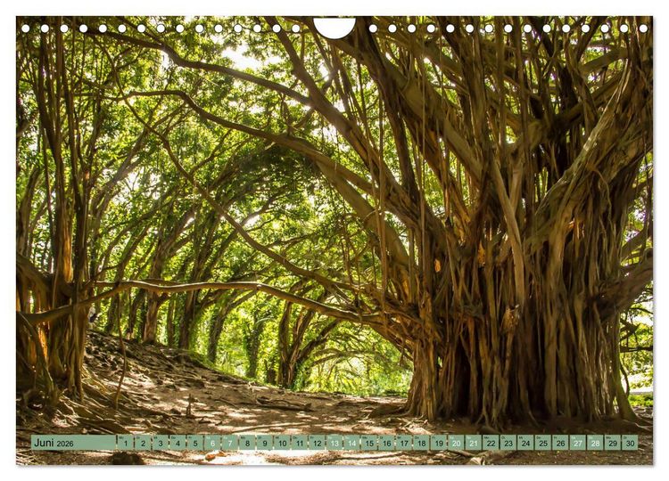 Produktbild: Big Island - Reise in eine unvergessliche Welt (Wandkalender 2026 DIN A4 quer), CALVENDO Monatskalender