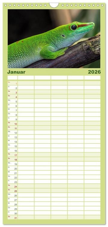 Produktbild: Familienplaner 2026 - Echsen - Schuppige &Uuml;berlebensk&uuml;nstler mit 5 Spalten (Wandkalender, 21 x 45 cm) CALVENDO