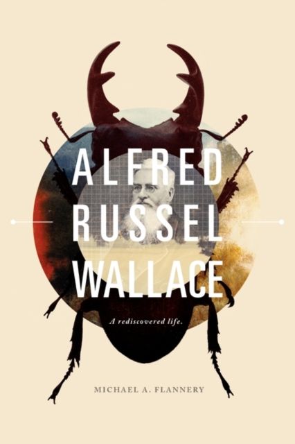 Produktbild: Alfred Russel Wallace: A Rediscovered Life