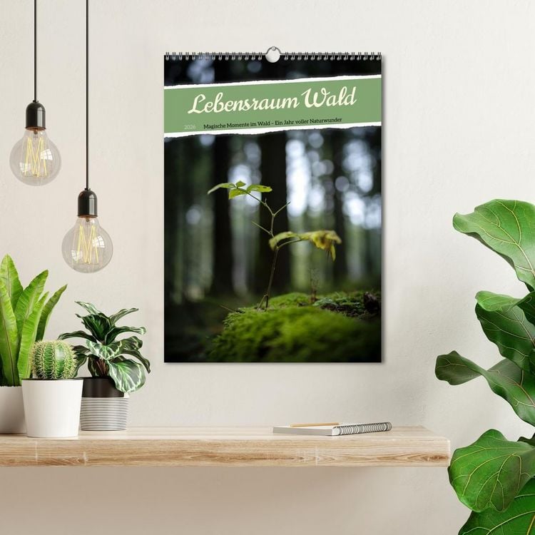 Produktbild: Lebensraum Wald (Wandkalender 2026 DIN A3 hoch), CALVENDO Monatskalender
