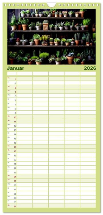 Produktbild: Familienplaner 2026 - Kaktuszauberland mit 5 Spalten (Wandkalender, 21 x 45 cm) CALVENDO