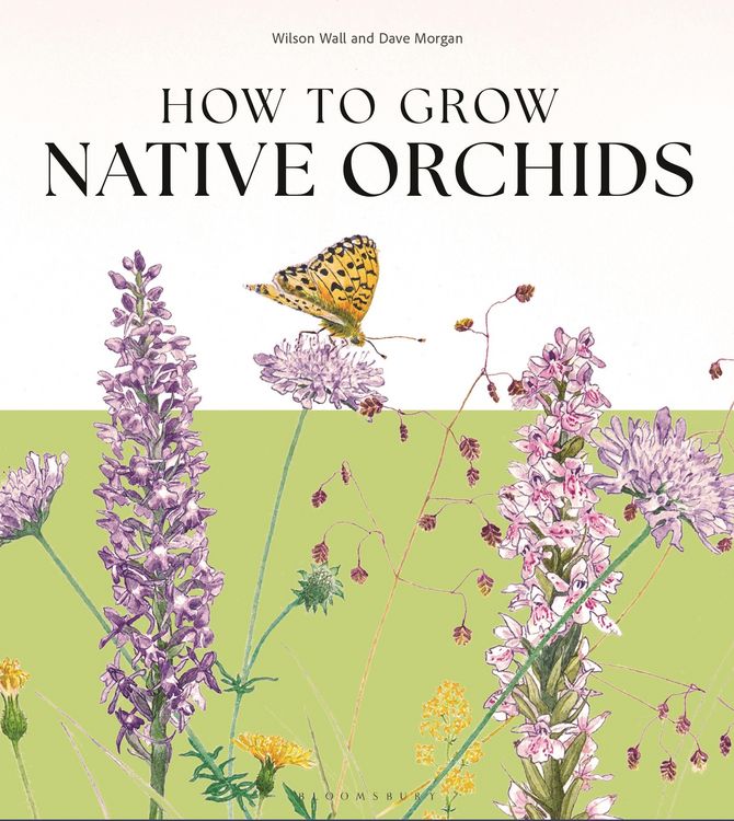 Produktbild: How to Grow Native Orchids