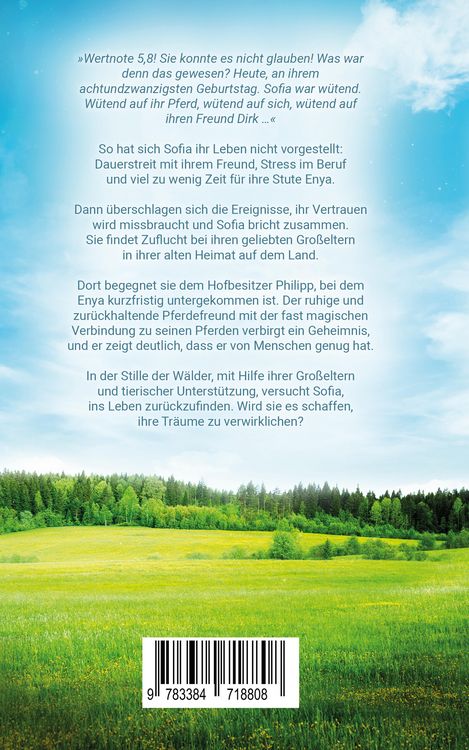Produktbild: Enya - Weg zur Geborgenheit