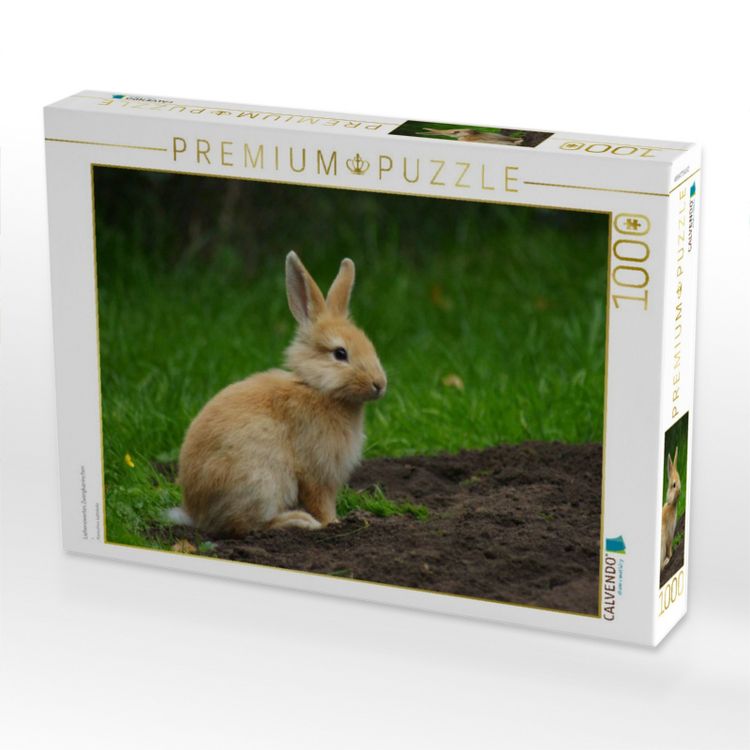 Produktbild: CALVENDO Puzzle Liebenswertes Zwergkaninchen | 1000 Teile Lege-Gr&ouml;&szlig;e 64x48cm Foto-Puzzle f&uuml;r gl&uuml;ckliche Stunden