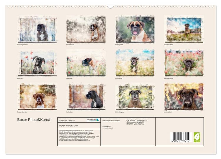 Produktbild: Boxer Photo&Kunst (hochwertiger Premium Wandkalender 2026 DIN A2 quer), Kunstdruck in Hochglanz