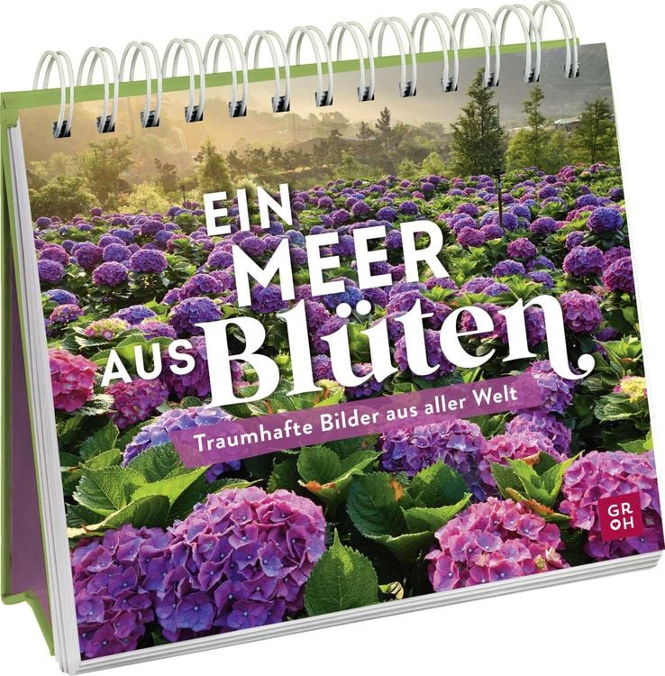 Bild vom Artikel Ein Meer aus Blüten vom Autor Kristin Funk