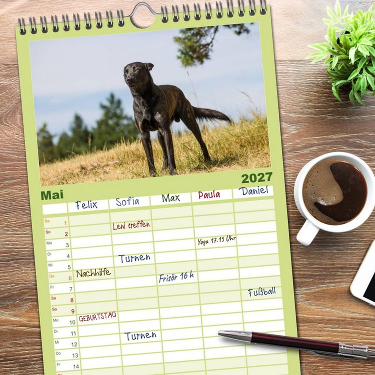 Produktbild: Familienplaner 2027 - ausdrucksvolle Holl&auml;ndische Sch&auml;ferhunde mit 5 Spalten (Wandkalender, 21 x 45 cm) CALVENDO