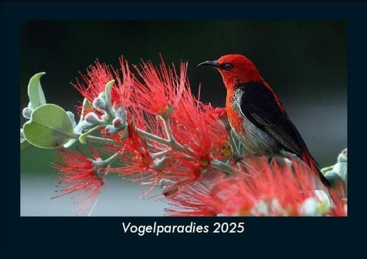 Produktbild: Vogelparadies 2025 Fotokalender DIN A5