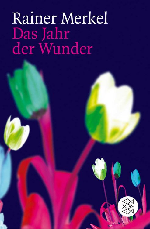 Produktbild: Das Jahr der Wunder