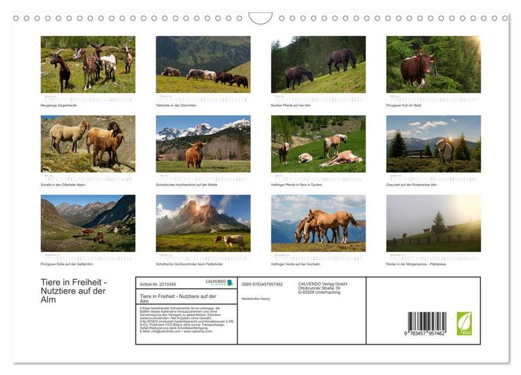 Produktbild: Tiere in Freiheit - Nutztiere auf der Alm (Wandkalender 2026 DIN A3 quer), CALVENDO Monatskalender