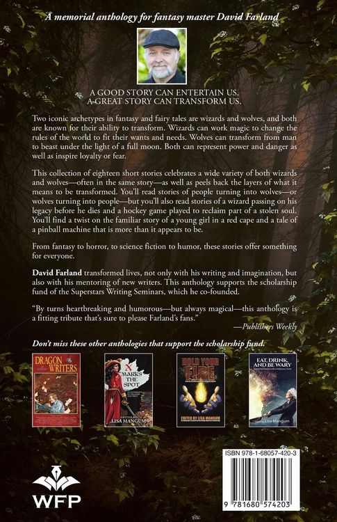 Produktbild: Of Wizards and Wolves