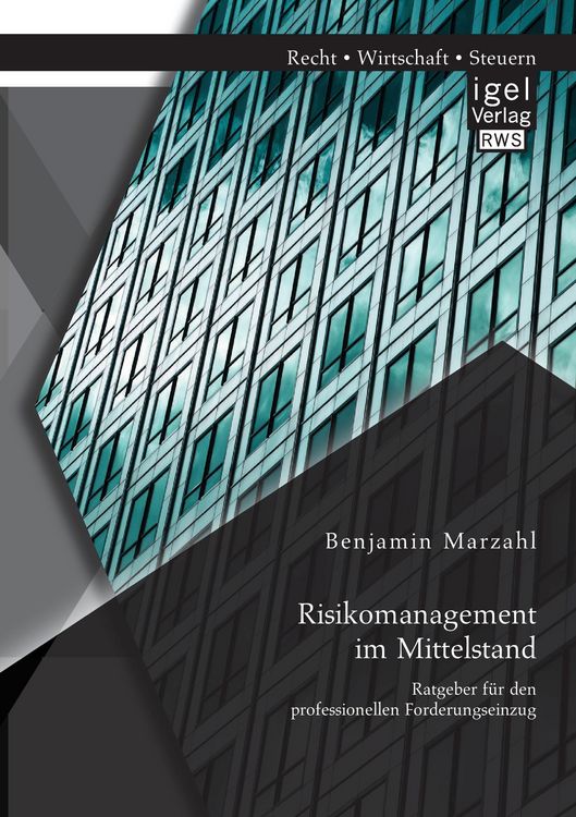 Produktbild: Risikomanagement im Mittelstand: Ratgeber f&uuml;r den professionellen Forderungseinzug