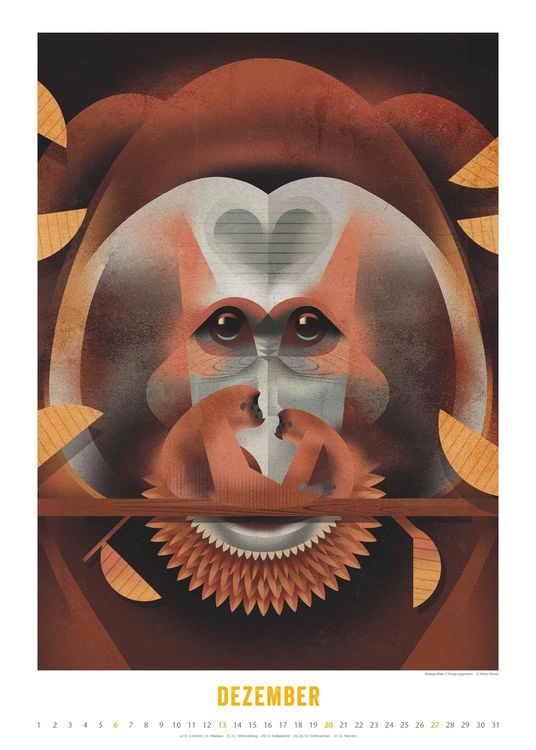 Produktbild: Dieter Braun: Die Welt der Tiere 2026 – Wandkalender – Format 50x70 cm