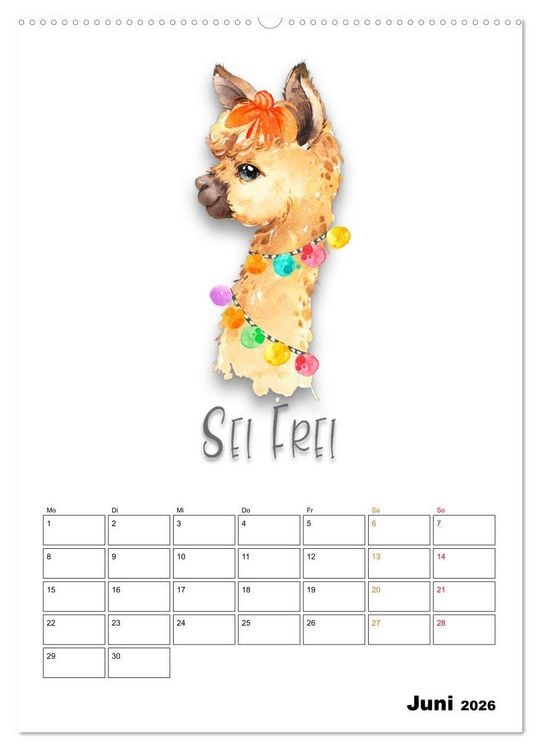 Produktbild: Bleib cool - Gute-Laune-Kalender (Wandkalender 2026 DIN A2 hoch), CALVENDO Monatskalender