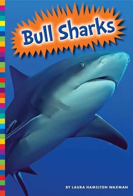 Produktbild: Bull Sharks
