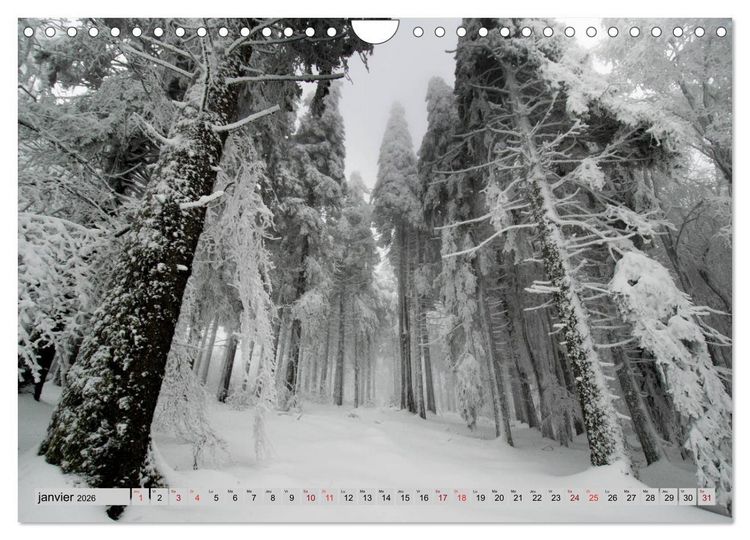 Produktbild: Splendeurs des Vosges (Calendrier mural 2026 DIN A4 vertical), CALVENDO calendrier mensuel