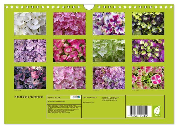 Produktbild: Himmlische Hortensien (Wandkalender 2026 DIN A4 quer), CALVENDO Monatskalender