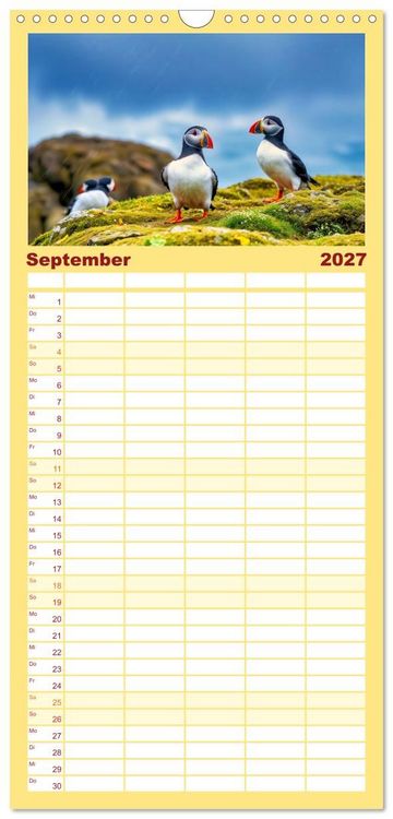 Produktbild: Familienplaner 2027 - Tieftaucher Papageitaucher mit 5 Spalten (Wandkalender, 21 x 45 cm) CALVENDO