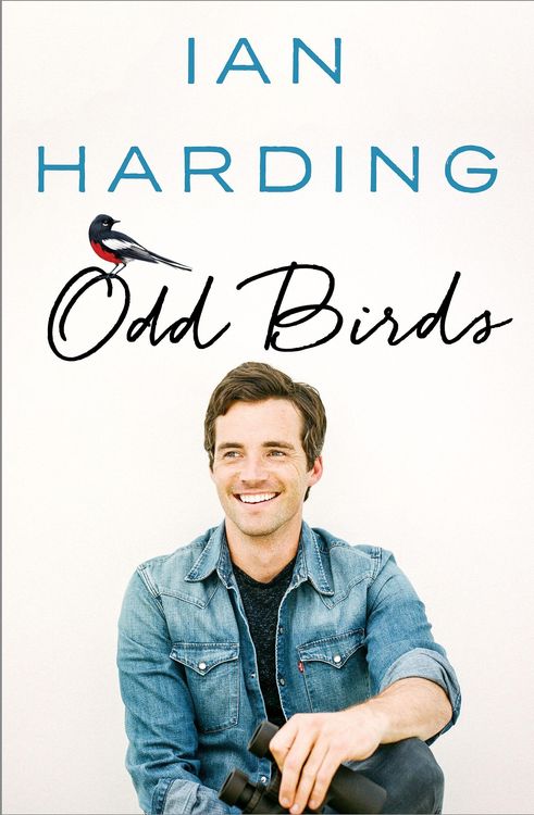 Produktbild: Odd Birds
