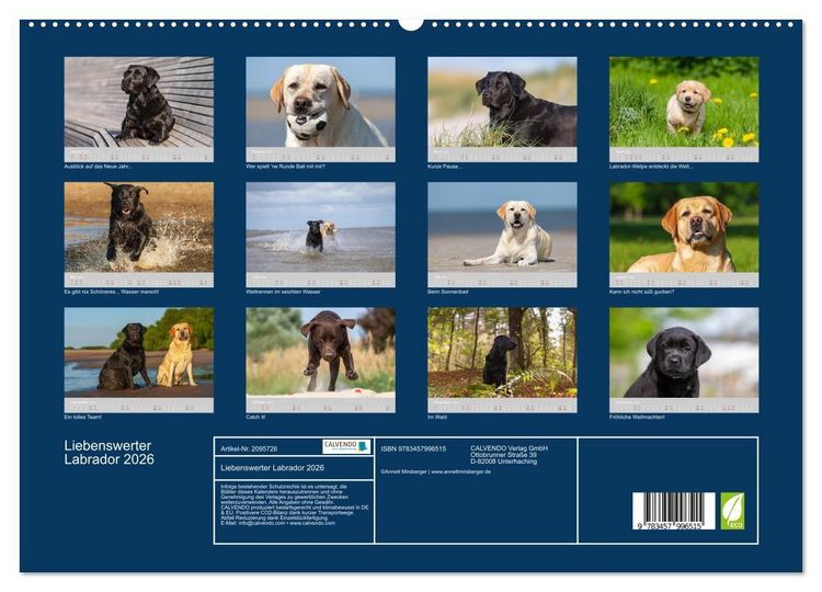 Produktbild: Liebenswerter Labrador 2026 (hochwertiger Premium Wandkalender 2026 DIN A2 quer), Kunstdruck in Hochglanz
