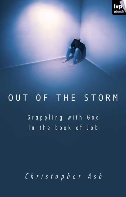 Produktbild: Out of the storm