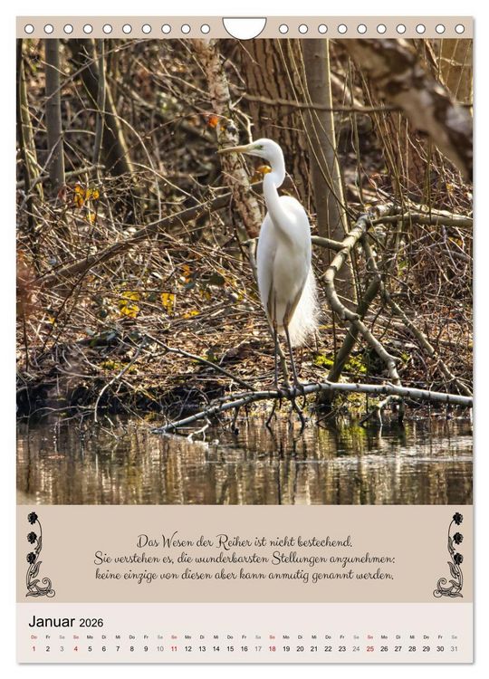 Produktbild: Buntes Tierleben (Wandkalender 2026 DIN A4 hoch), CALVENDO Monatskalender