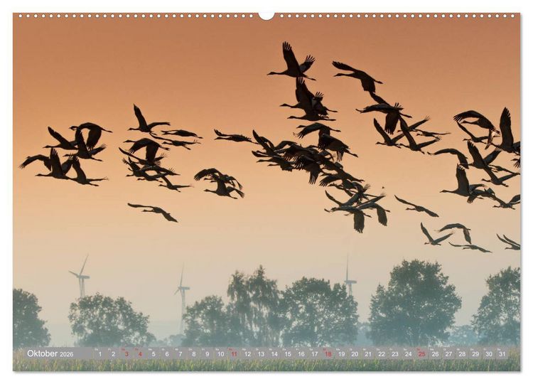 Produktbild: KranichRomantik (hochwertiger Premium Wandkalender 2026 DIN A2 quer), Kunstdruck in Hochglanz