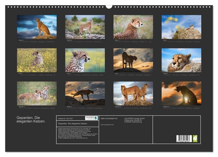 Produktbild: Geparden. Die eleganten Katzen. (Wandkalender 2027 DIN A2 quer), CALVENDO Monatskalender