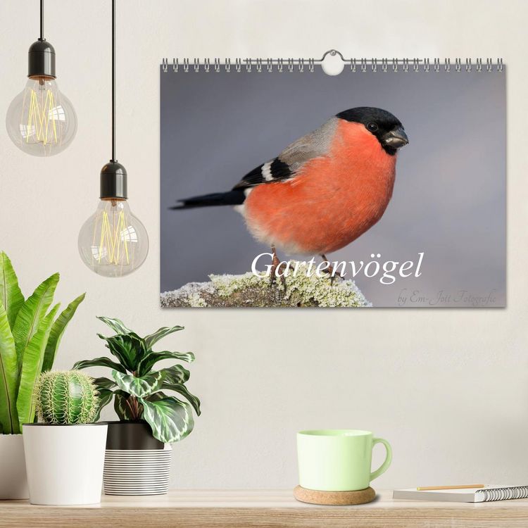 Produktbild: V&ouml;gel aus dem Garten (Wandkalender 2026 DIN A4 quer), CALVENDO Monatskalender