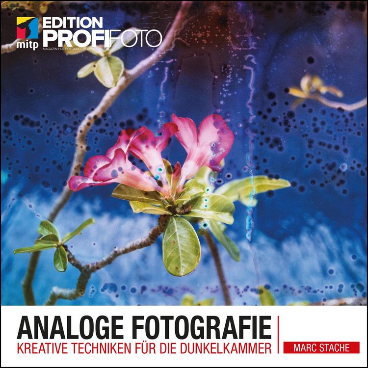 Produktbild: Analoge Fotografie