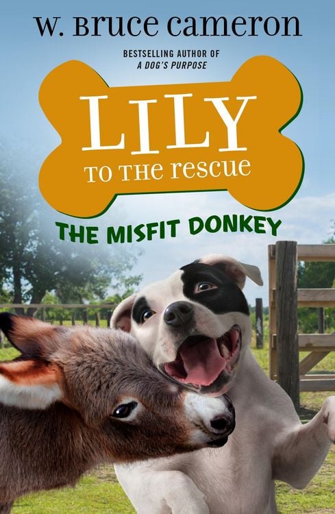 Produktbild: Lily to the Rescue: The Misfit Donkey