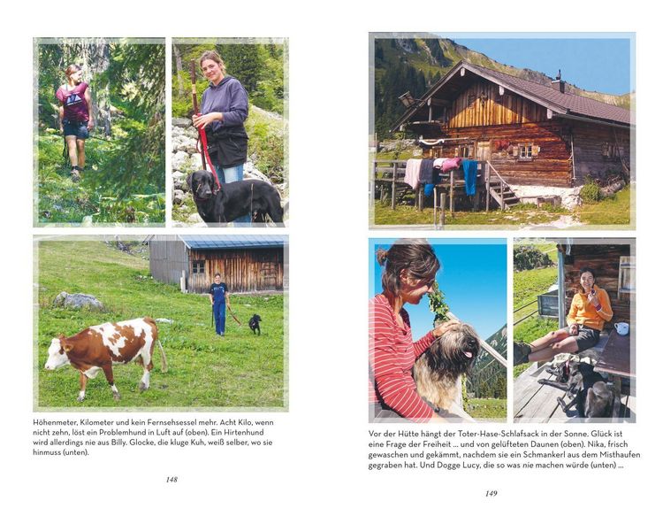 Produktbild: Schon wieder abgehauen