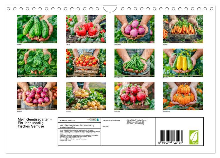 Produktbild: Mein Gem&uuml;segarten - Ein Jahr knackig frisches Gem&uuml;se (Wandkalender 2026 DIN A4 quer), CALVENDO Monatskalender