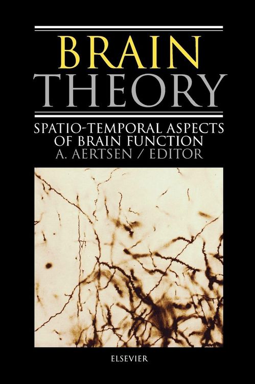 Produktbild: Brain Theory