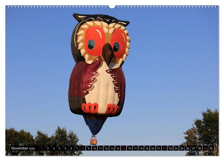 Produktbild: Ballonfahren - Die Stille nach dem Start (Wandkalender 2026 DIN A2 quer), CALVENDO Monatskalender