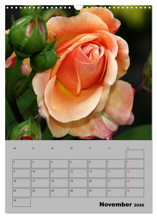 Produktbild: Rosen - Symbol der Liebe und Verehrung (Wandkalender 2026 DIN A3 hoch), CALVENDO Monatskalender