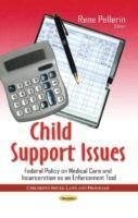 Produktbild: Child Support Issues