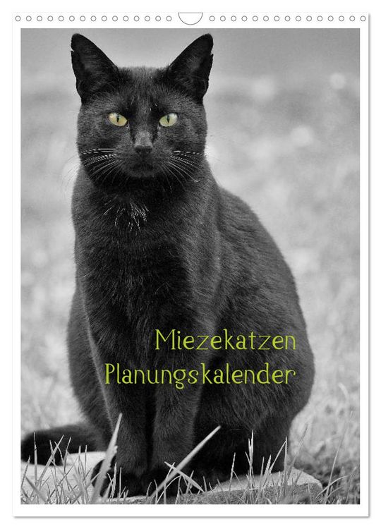 Produktbild: Miezekatzen Planungskalender (Wandkalender 2026 DIN A3 hoch), CALVENDO Monatskalender