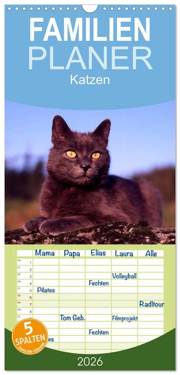 Produktbild: Familienplaner 2026 - Katzen mit 5 Spalten (Wandkalender, 21 x 45 cm) CALVENDO