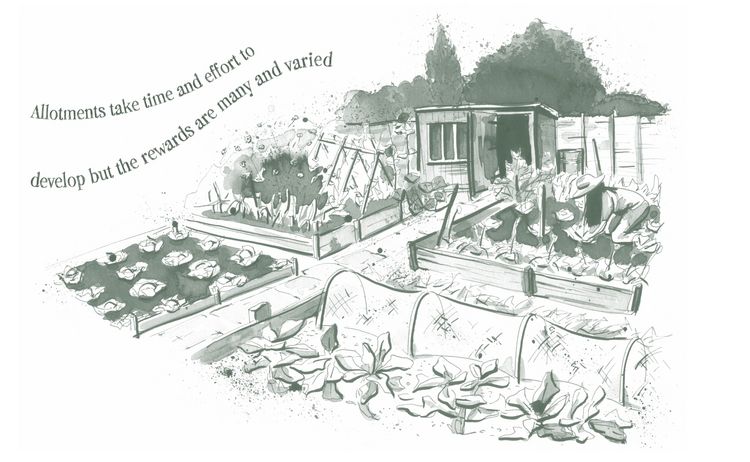 Produktbild: Home-Grown Harvest
