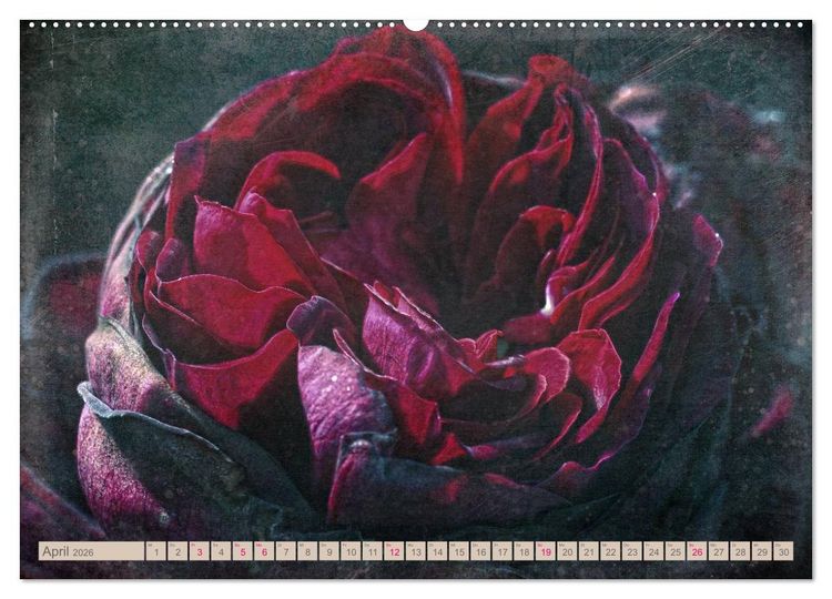 Produktbild: Rosenduft Shabby Chic Style (Wandkalender 2026 DIN A2 quer), CALVENDO Monatskalender