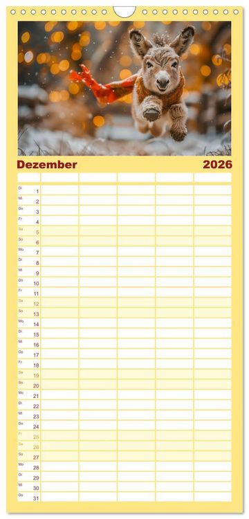 Produktbild: Familienplaner 2026 - Lustige Eselgeschichten mit 5 Spalten (Wandkalender, 21 x 45 cm) CALVENDO