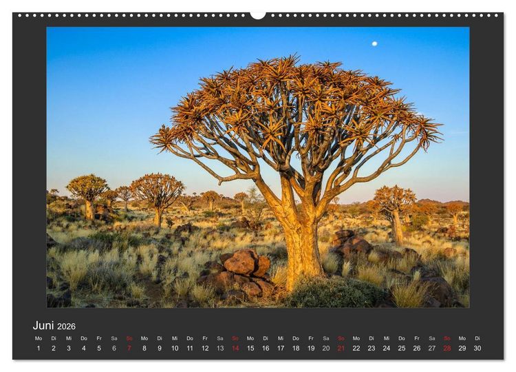 Produktbild: Facetten Namibias (Wandkalender 2026 DIN A2 quer), CALVENDO Monatskalender