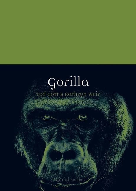 Produktbild: Gott, T: Gorilla