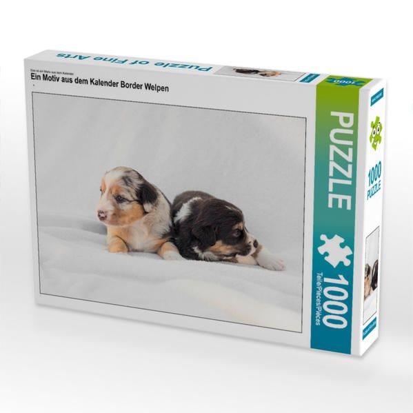 Produktbild: CALVENDO Puzzle Ein Motiv aus dem Kalender Border Welpen | 1000 Teile Lege-Gr&ouml;&szlig;e 64x48cm Foto-Puzzle f&uuml;r gl&uuml;ckliche Stunden