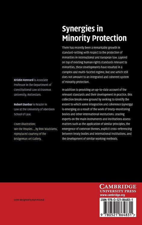 Produktbild: Synergies in Minority Protection