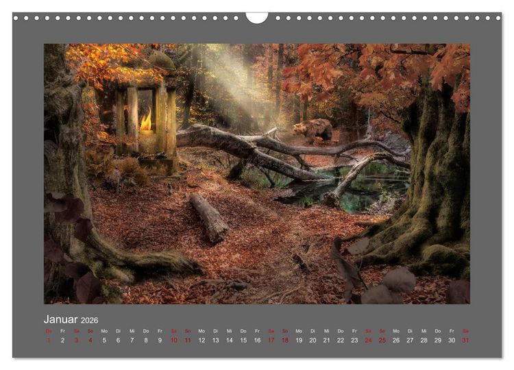 Produktbild: Waldgeheimnisse (Wandkalender 2026 DIN A3 quer), CALVENDO Monatskalender