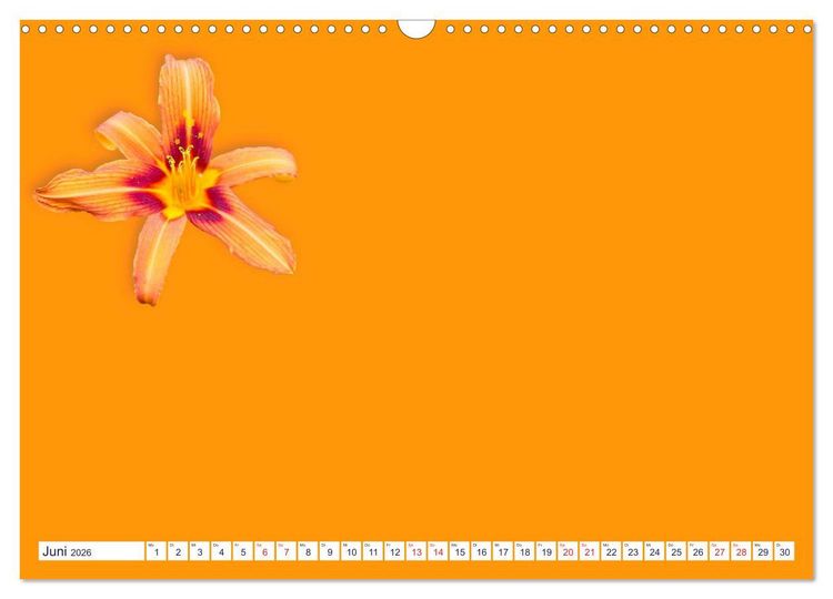 Produktbild: DIY POESIE - BASTELKALENDER (Wandkalender 2026 DIN A3 quer), CALVENDO Monatskalender