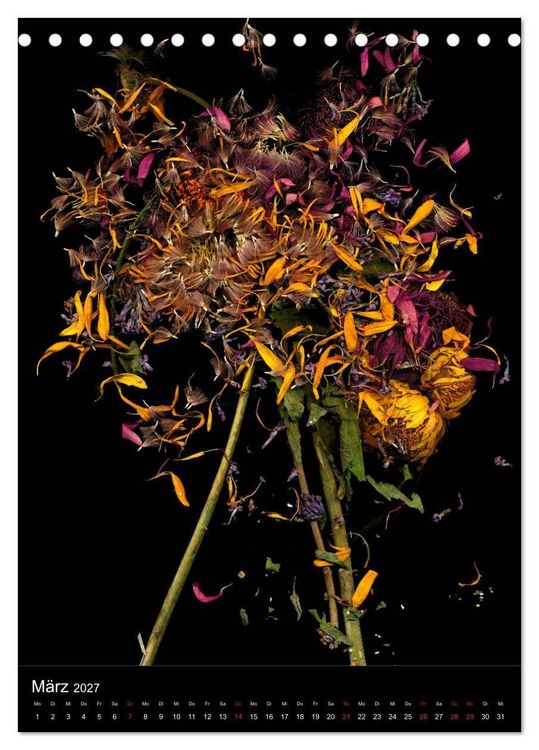 Produktbild: Blumen bei Nacht (Tischkalender 2027 DIN A5 hoch), CALVENDO Monatskalender
